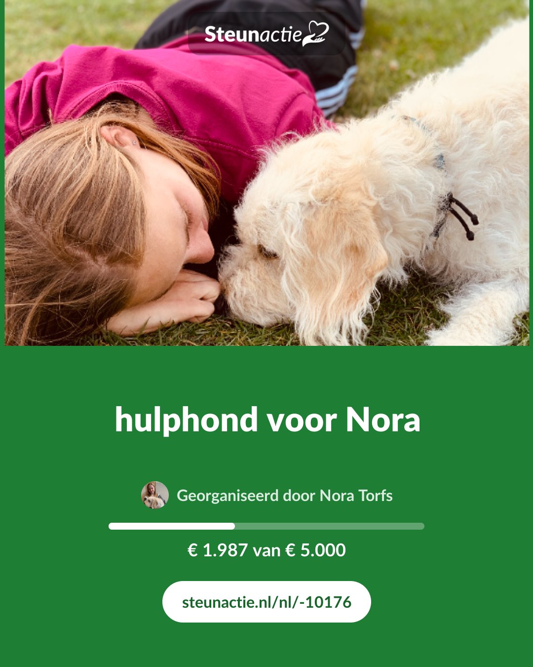 Voorbeeld van de afbeelding