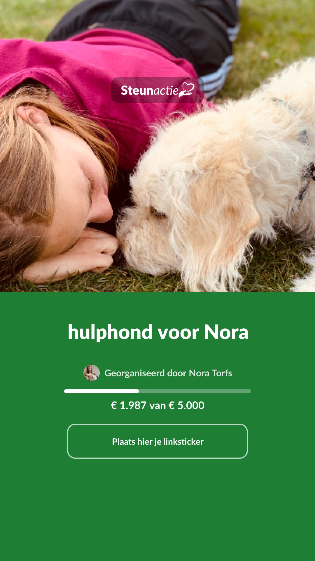 Voorbeeld van de afbeelding