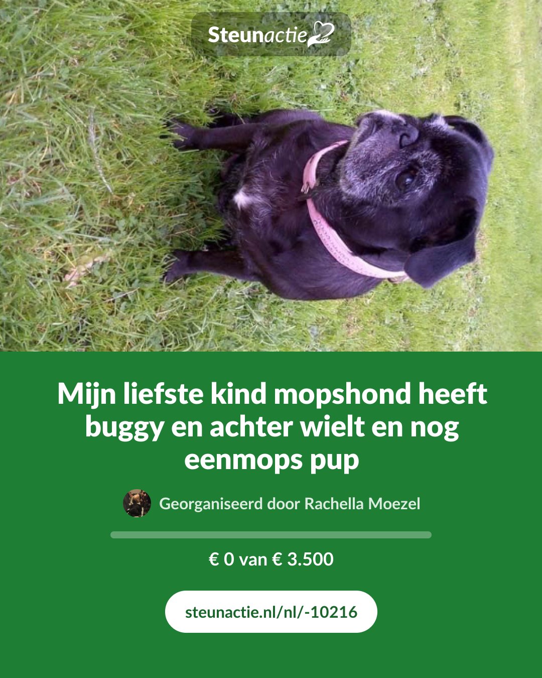 Voorbeeld van de afbeelding