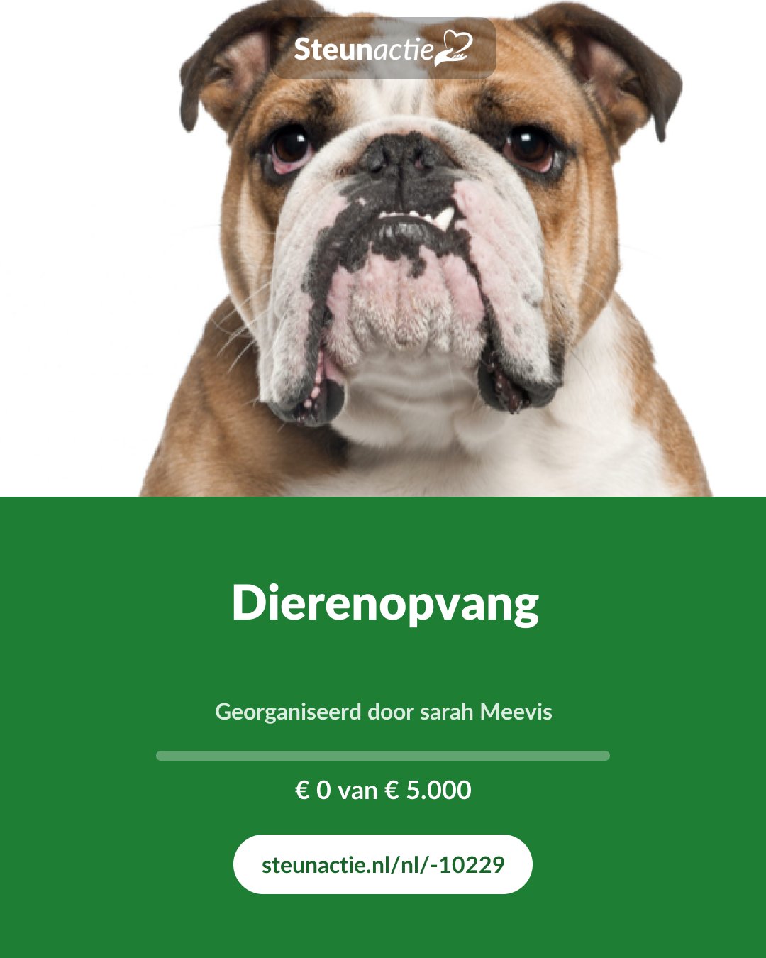 Voorbeeld van de afbeelding