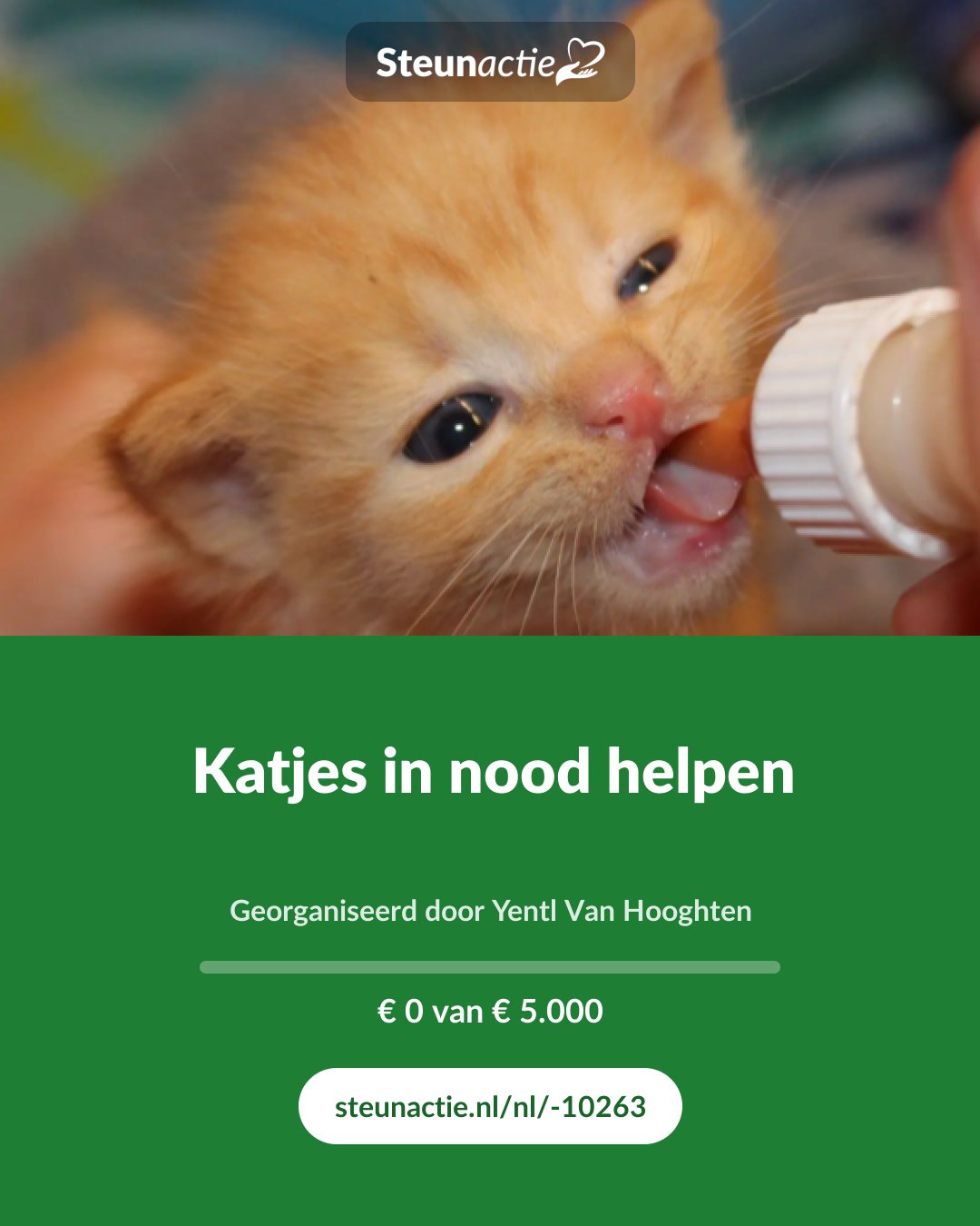 Voorbeeld van de afbeelding
