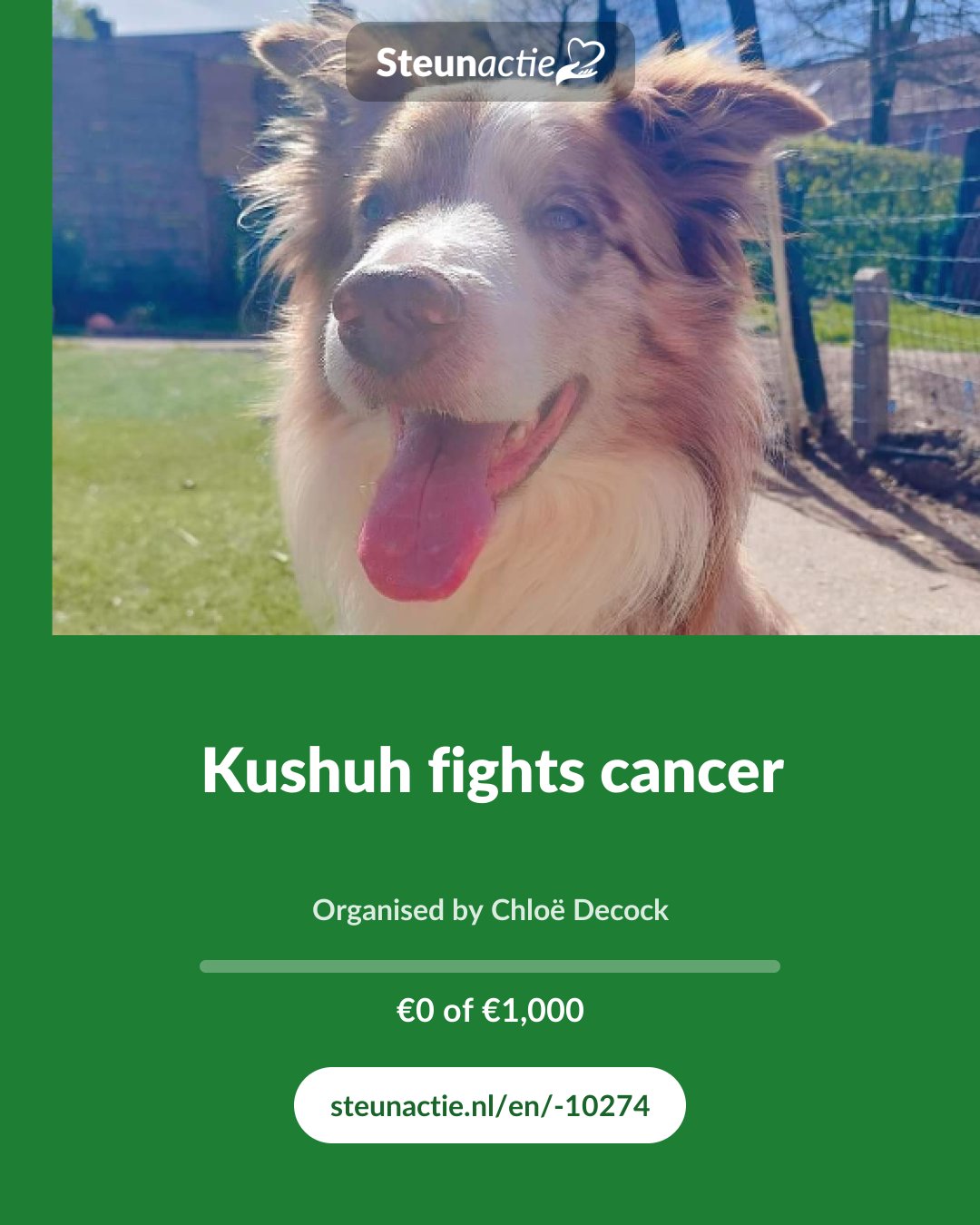 Preview of the image