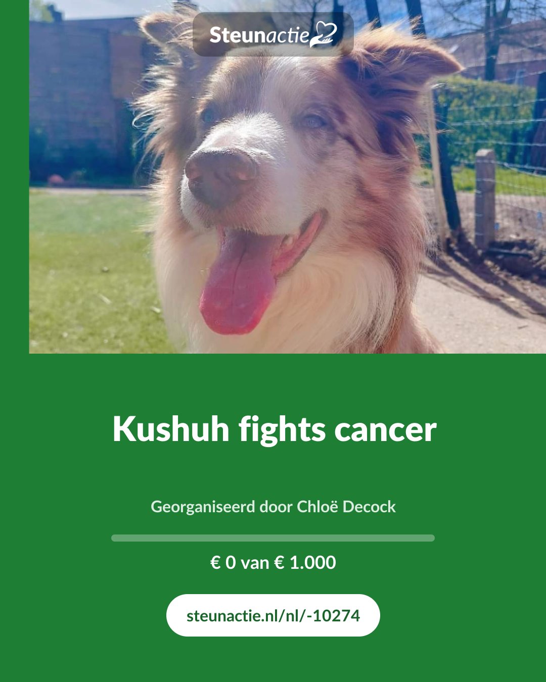 Voorbeeld van de afbeelding