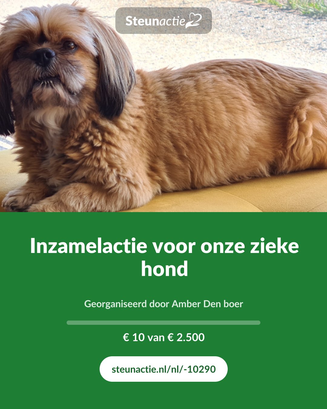 Voorbeeld van de afbeelding