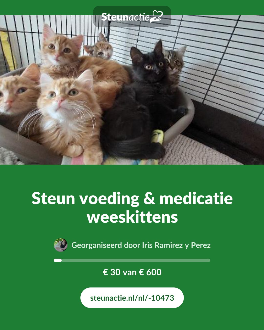 Voorbeeld van de afbeelding