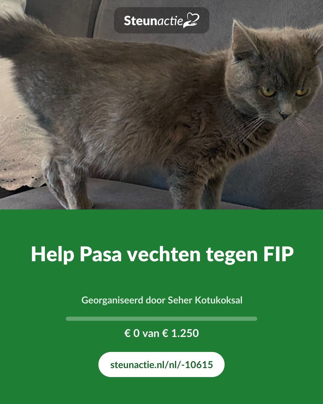 Voorbeeld van de afbeelding