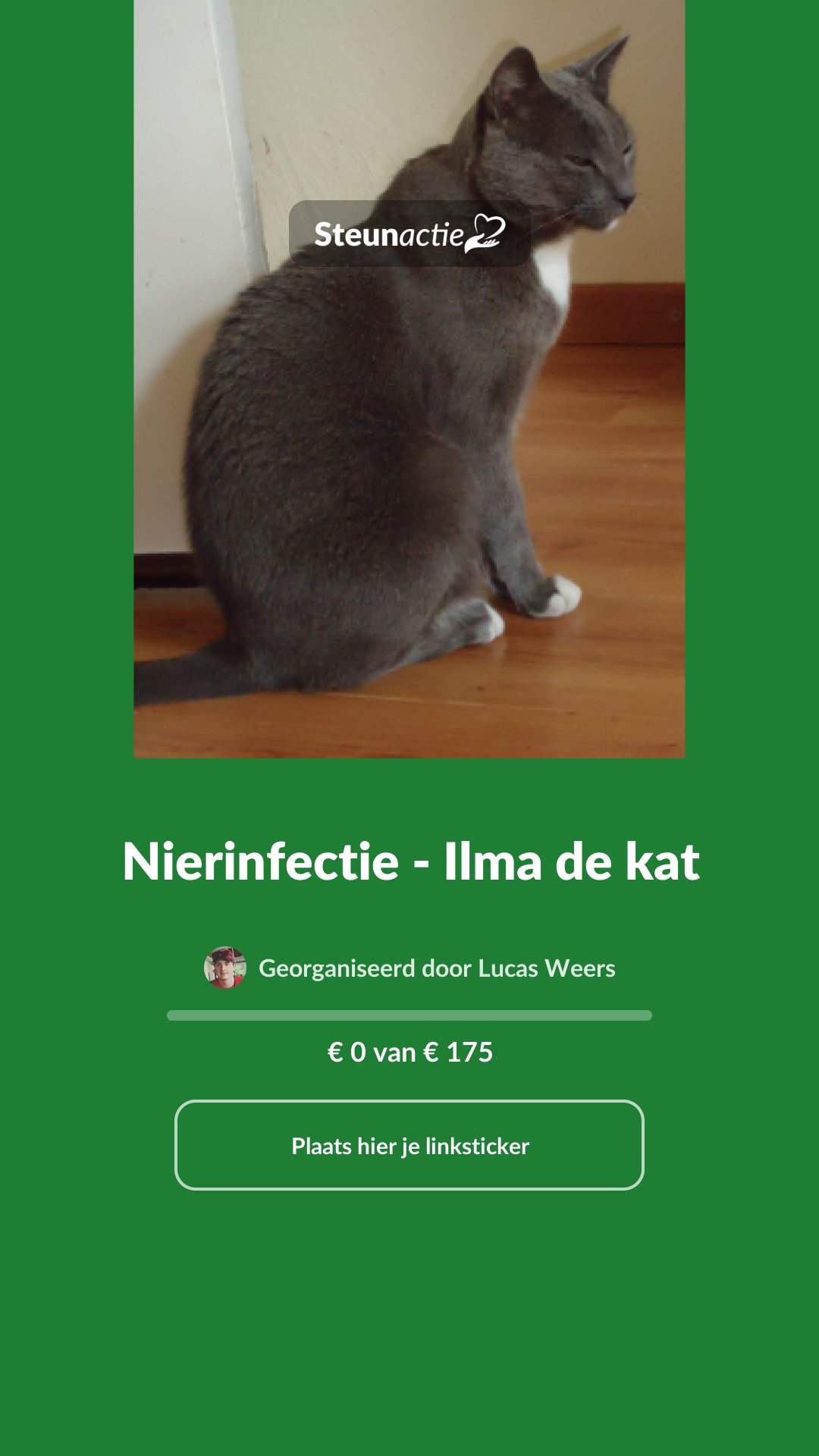 Voorbeeld van de afbeelding