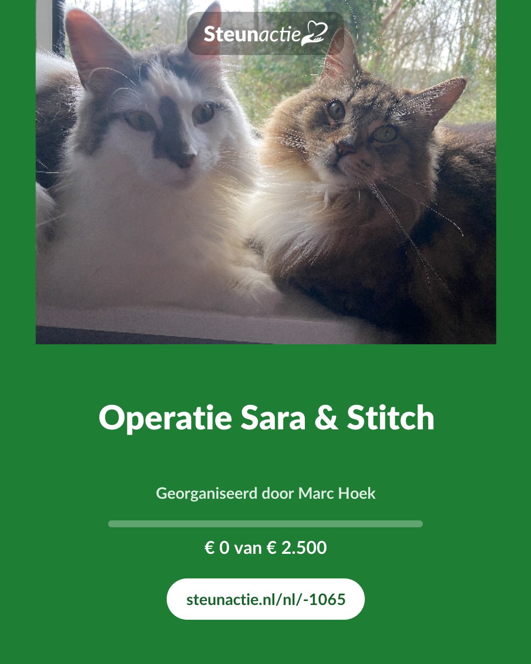 Voorbeeld van de afbeelding