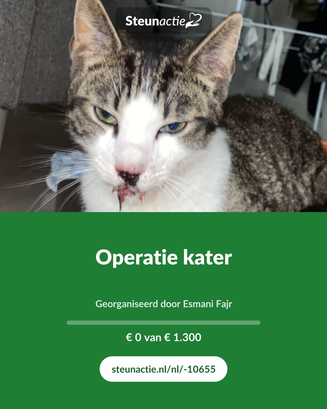 Voorbeeld van de afbeelding