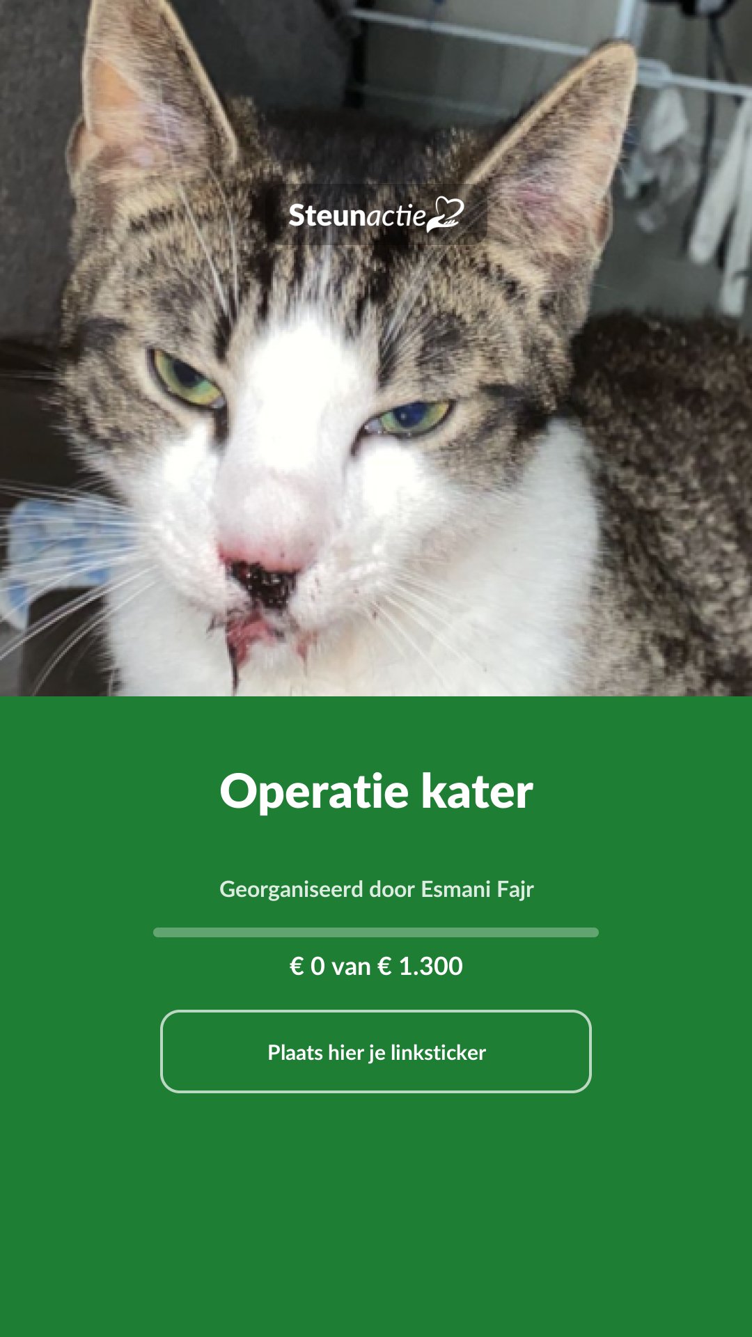 Voorbeeld van de afbeelding