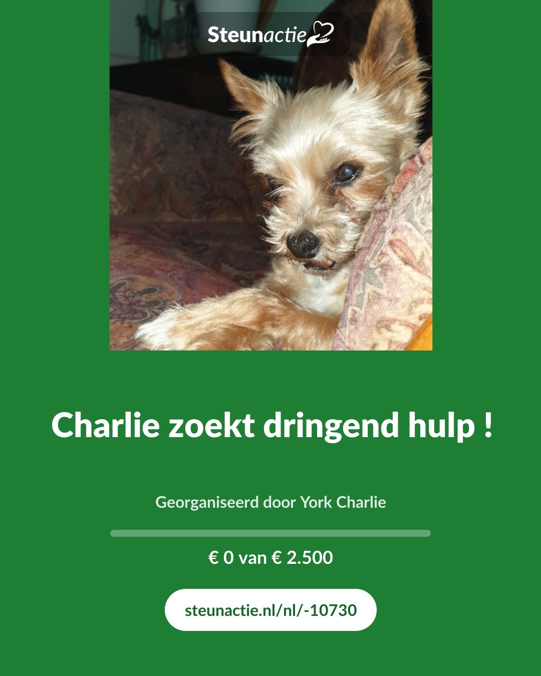 Voorbeeld van de afbeelding