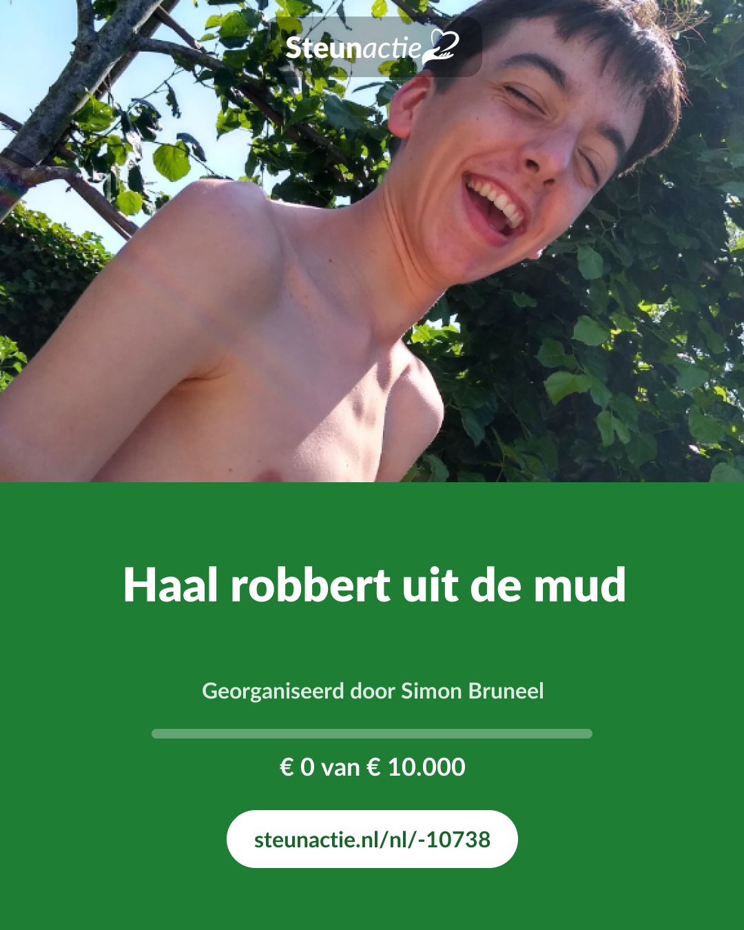 Voorbeeld van de afbeelding