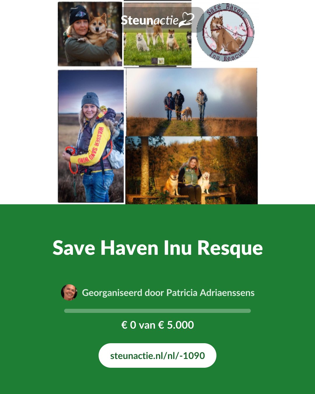 Voorbeeld van de afbeelding