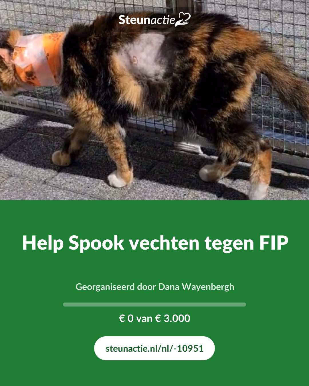 Voorbeeld van de afbeelding