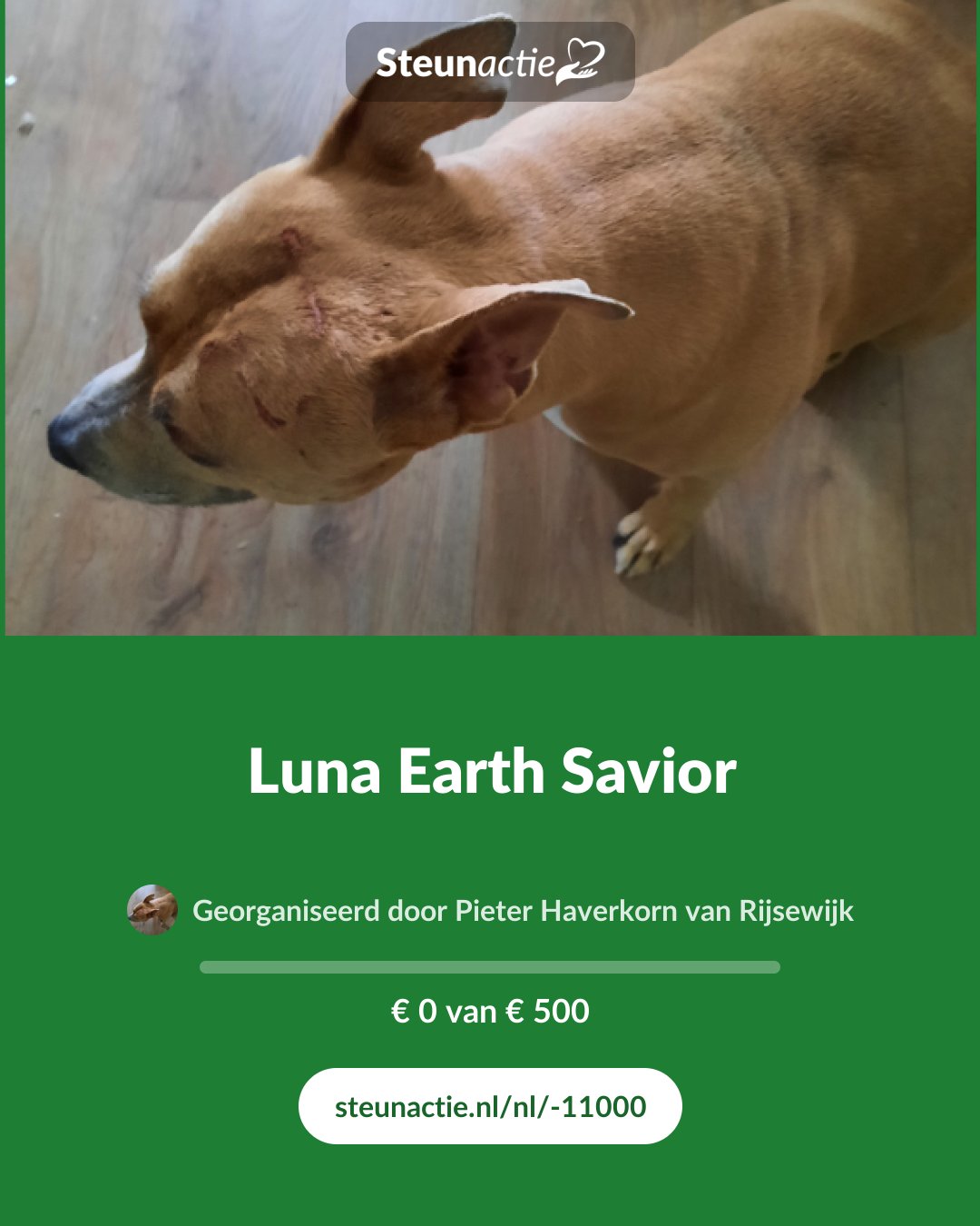 Voorbeeld van de afbeelding