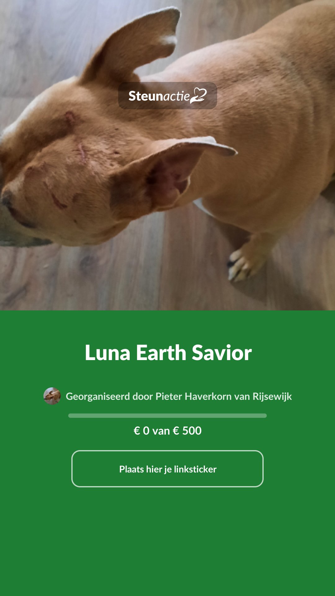 Voorbeeld van de afbeelding
