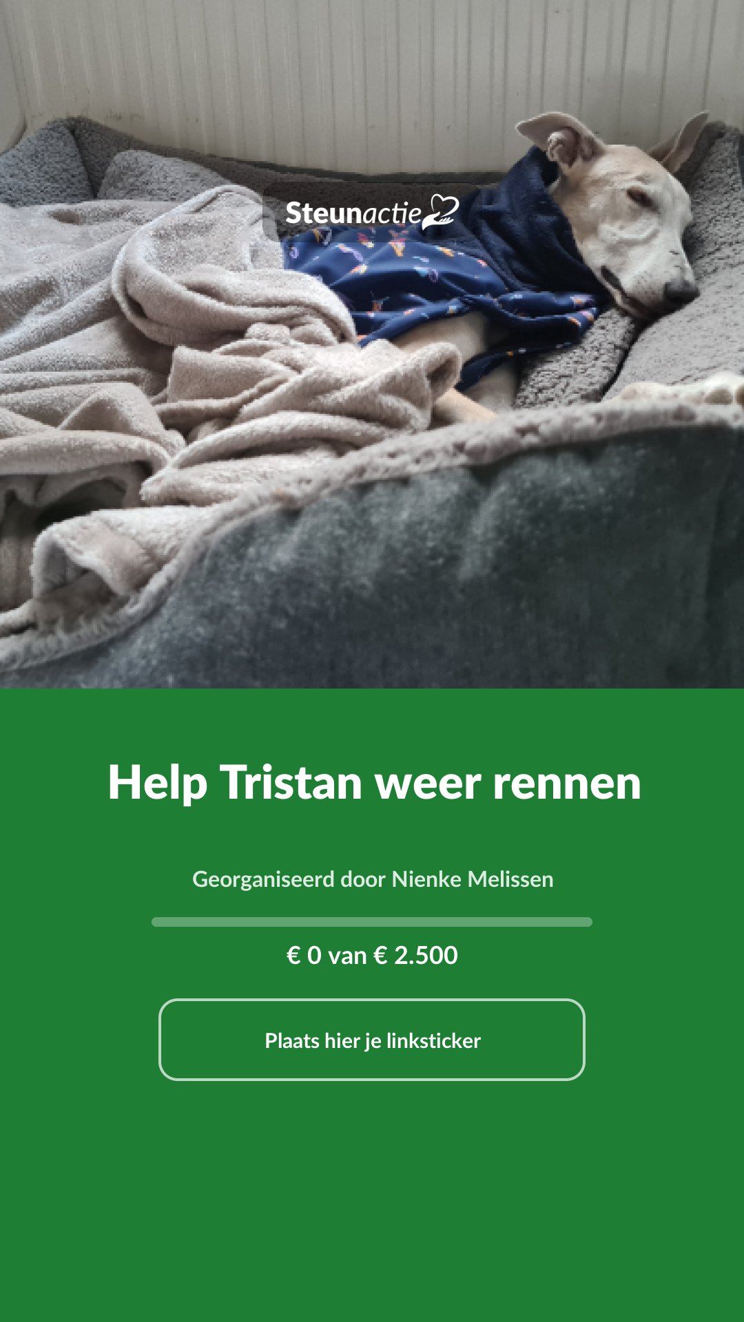 Voorbeeld van de afbeelding
