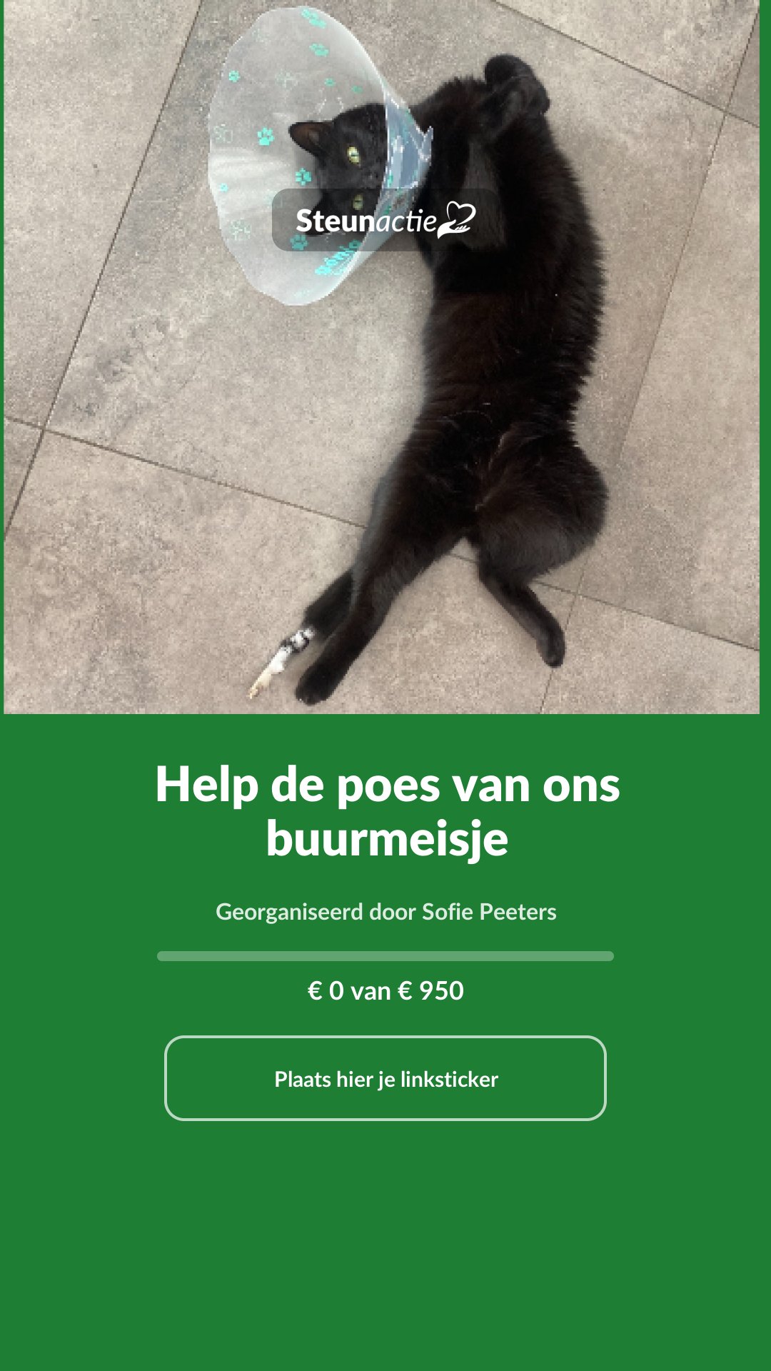 Voorbeeld van de afbeelding
