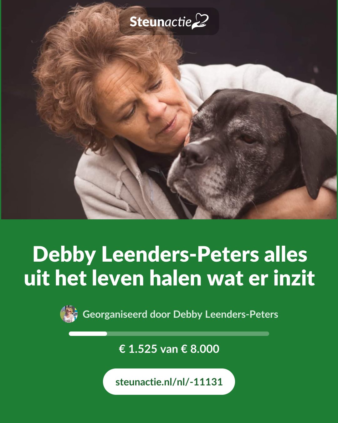 Voorbeeld van de afbeelding