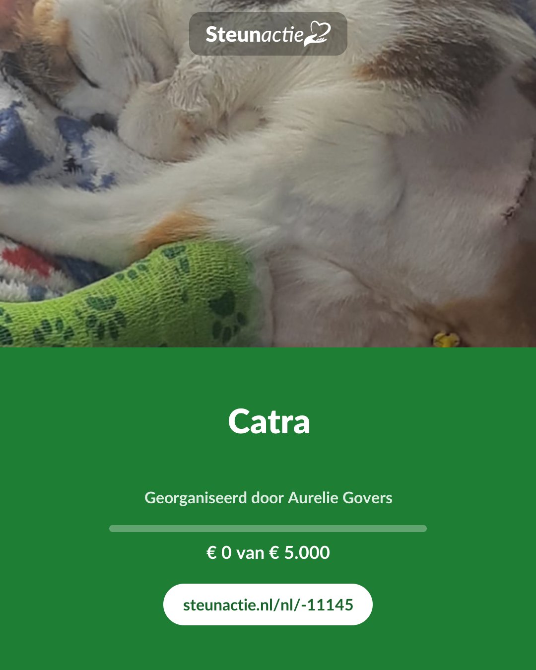 Voorbeeld van de afbeelding
