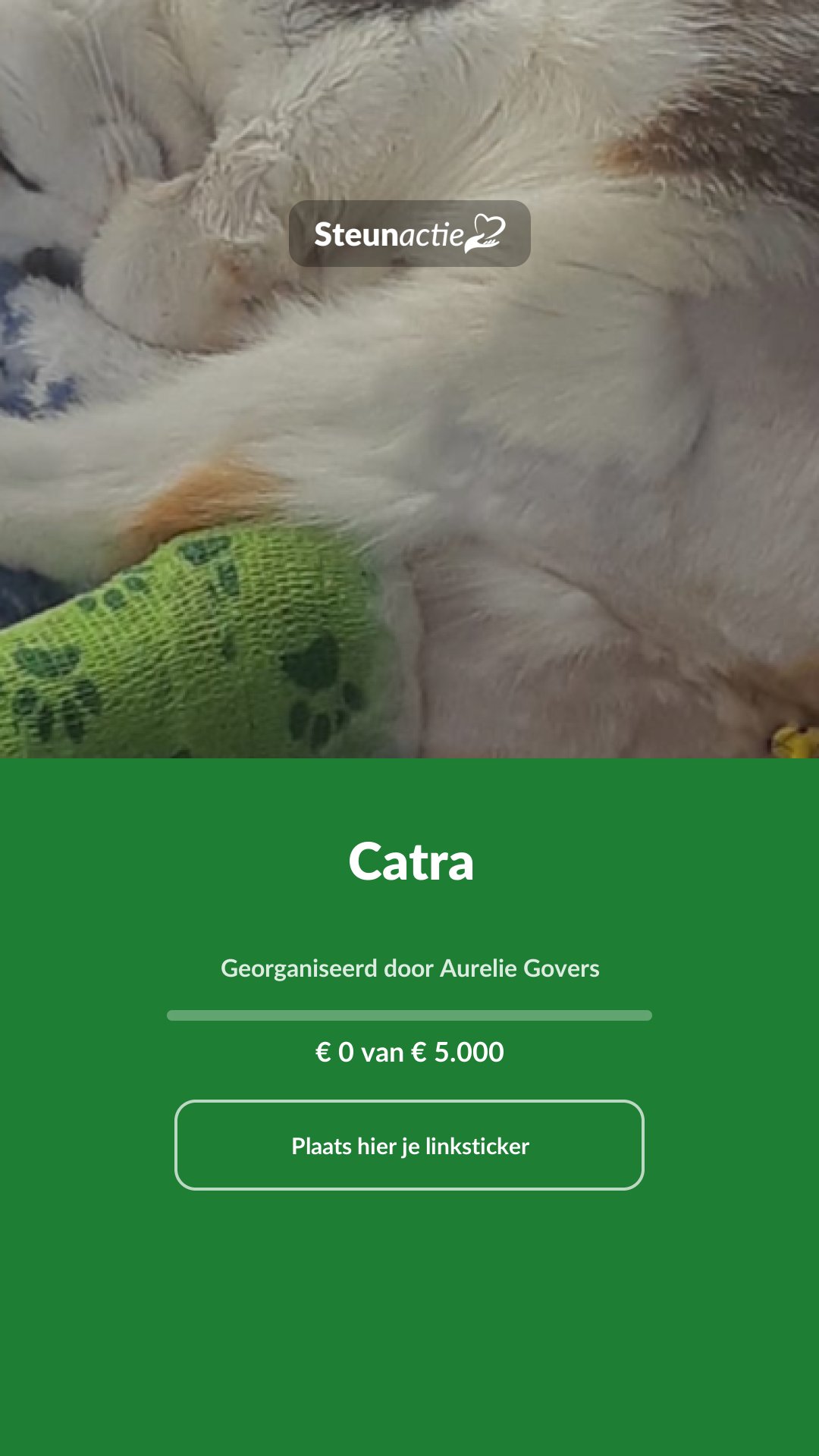 Voorbeeld van de afbeelding