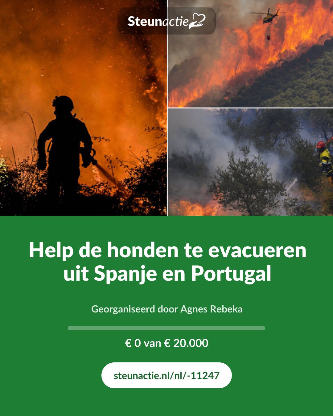 Voorbeeld van de afbeelding