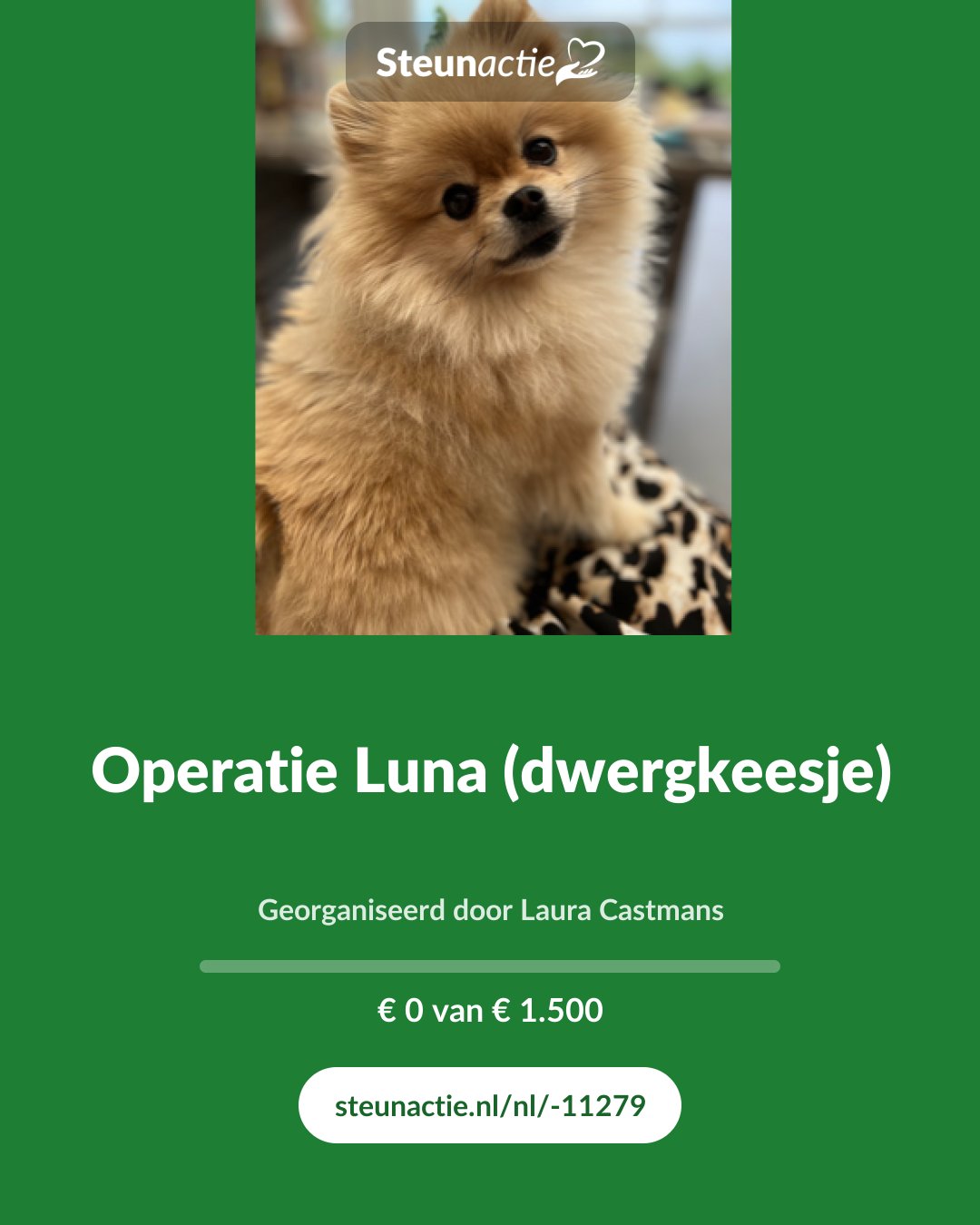 Voorbeeld van de afbeelding