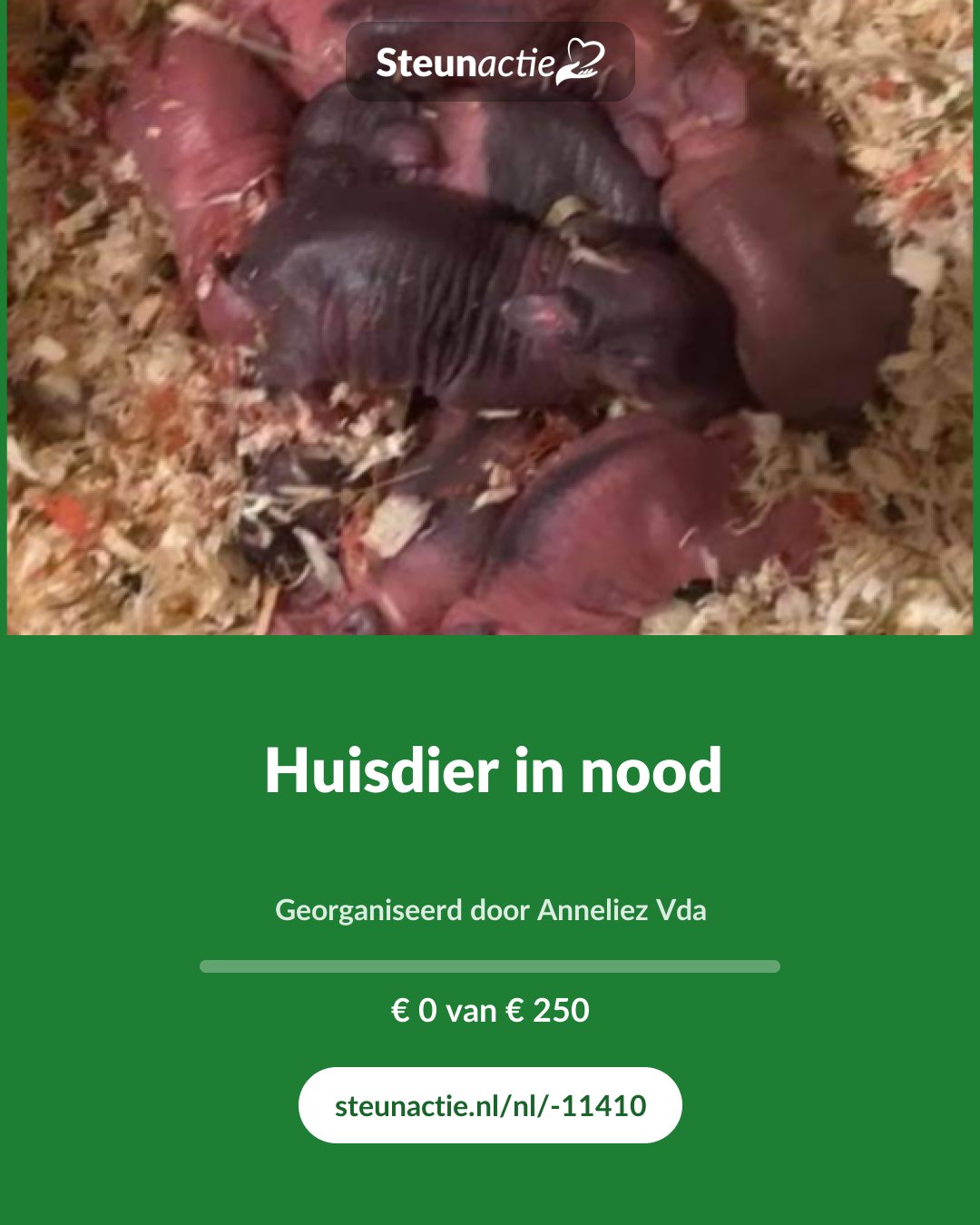 Voorbeeld van de afbeelding