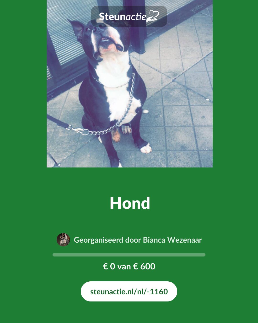 Voorbeeld van de afbeelding