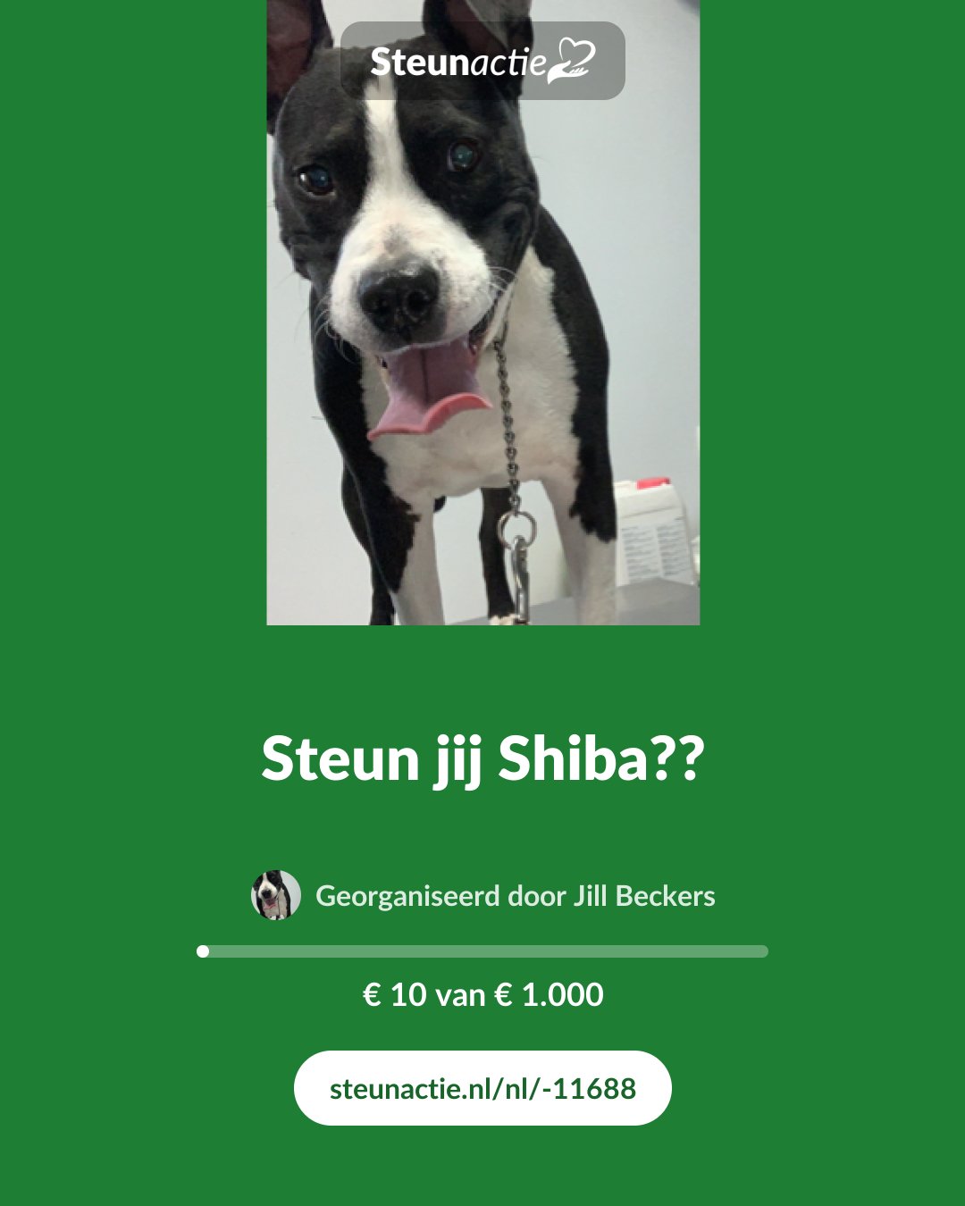 Voorbeeld van de afbeelding