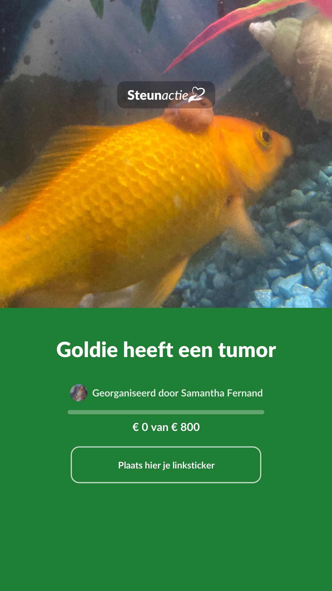 Voorbeeld van de afbeelding