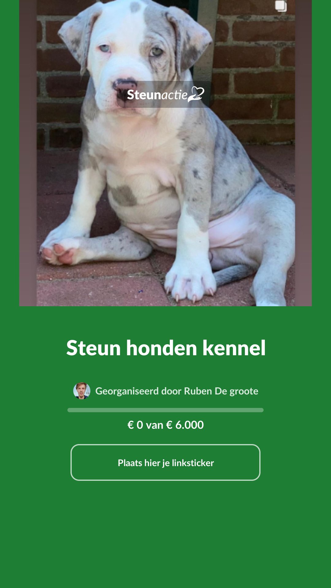 Voorbeeld van de afbeelding