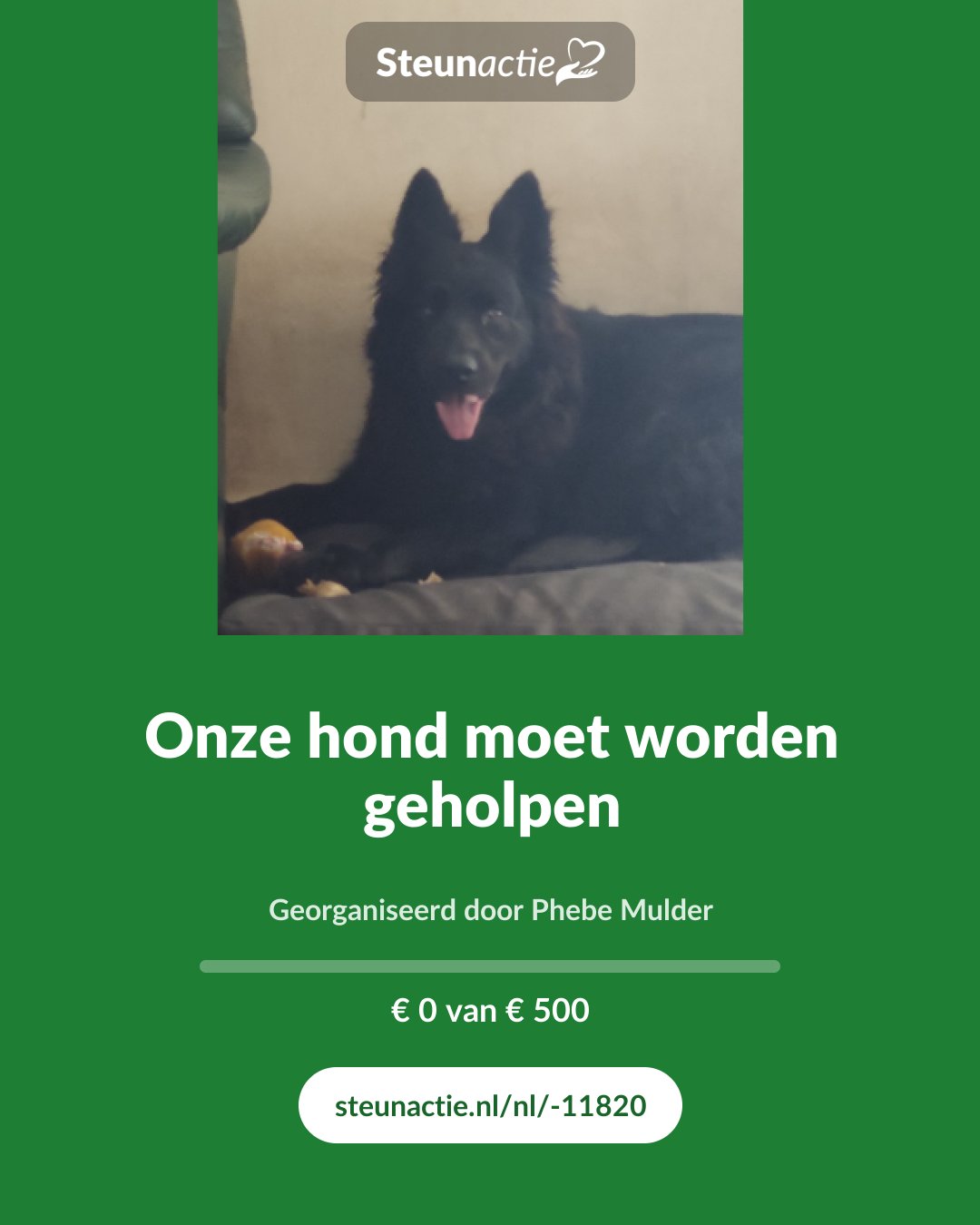 Voorbeeld van de afbeelding