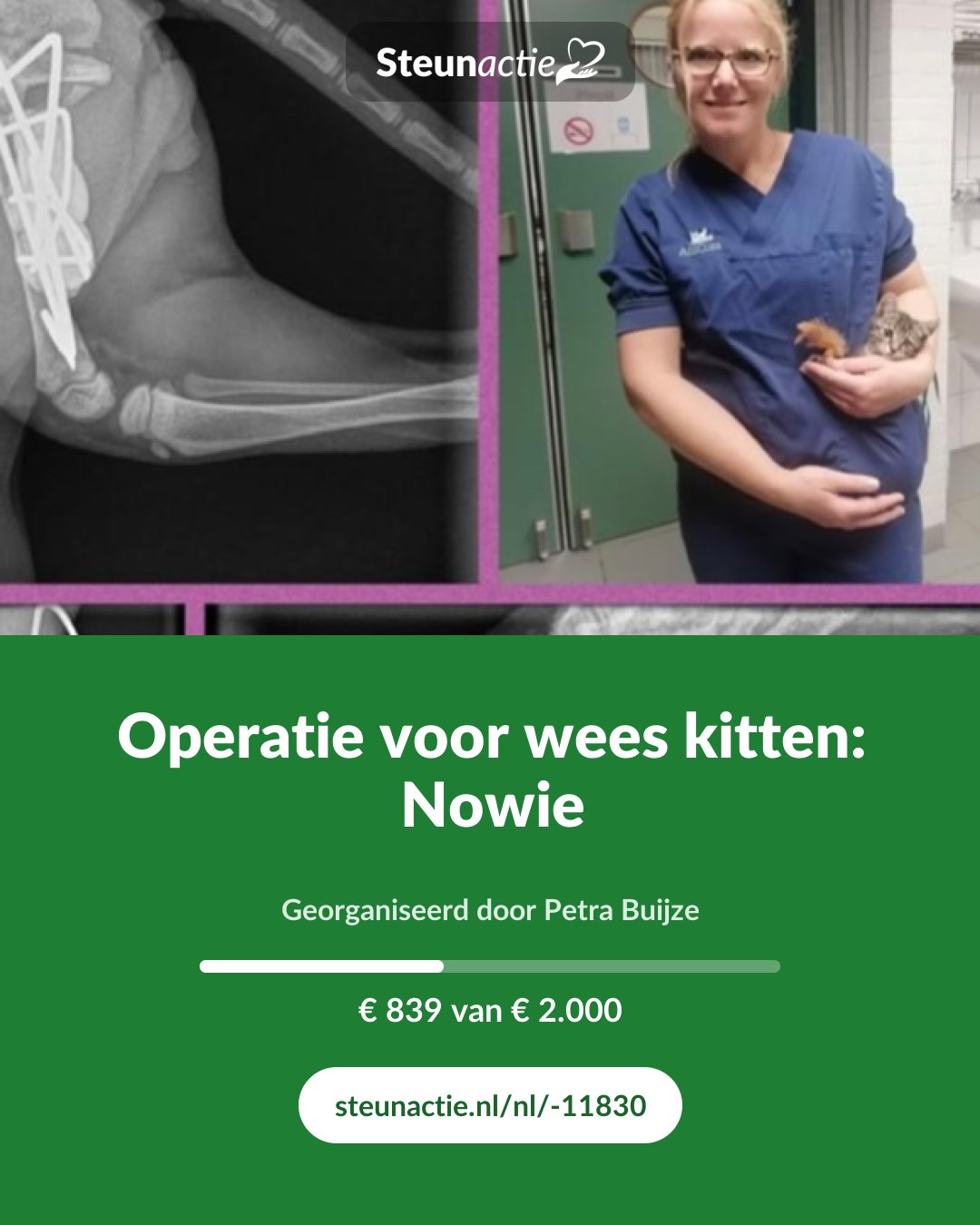 Voorbeeld van de afbeelding