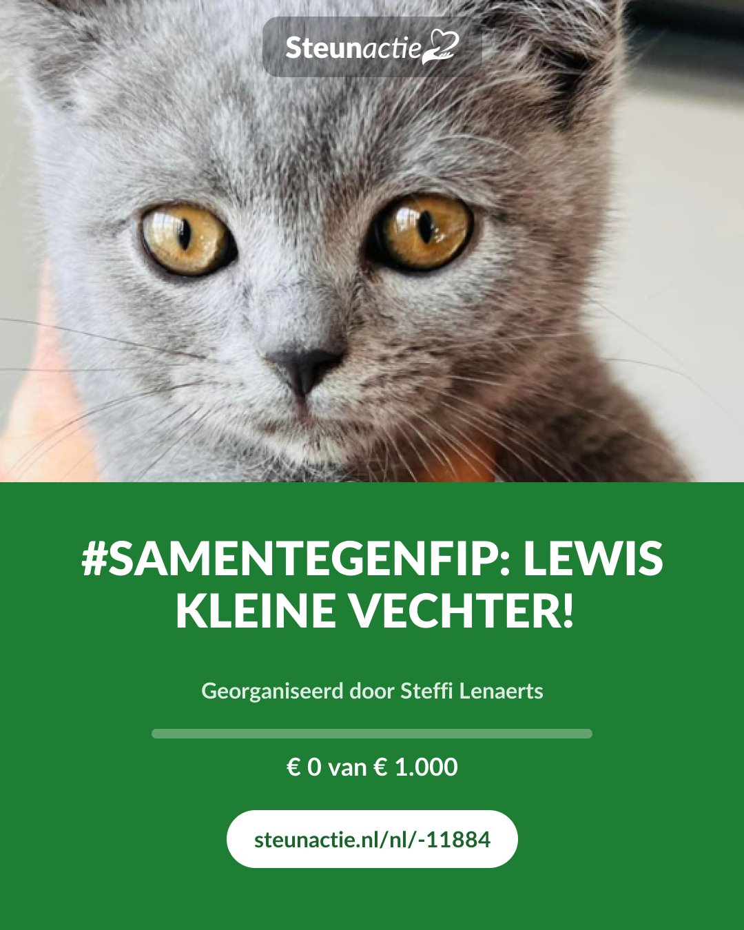 Voorbeeld van de afbeelding