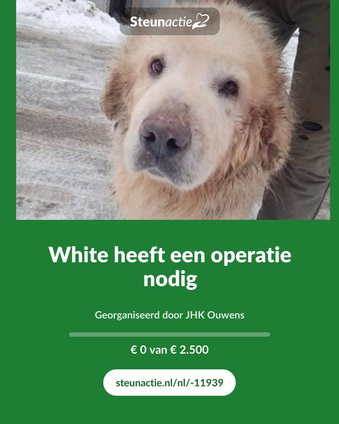 Voorbeeld van de afbeelding
