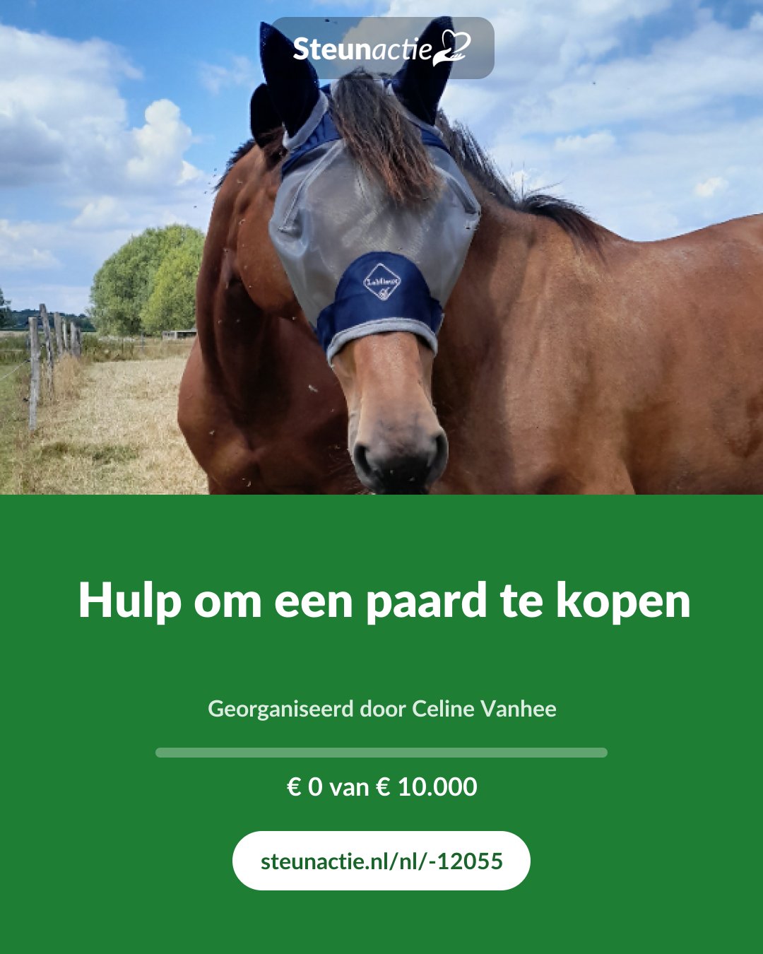 Voorbeeld van de afbeelding