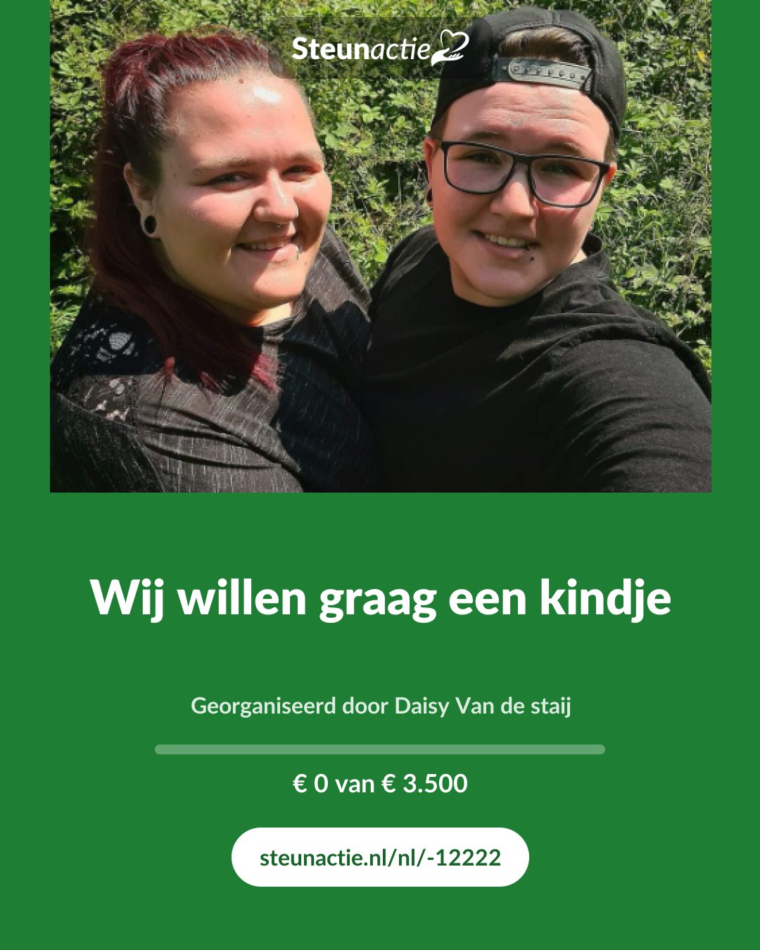 Voorbeeld van de afbeelding