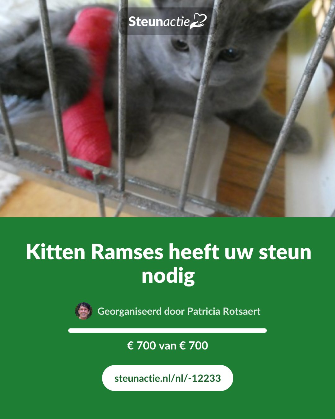 Voorbeeld van de afbeelding