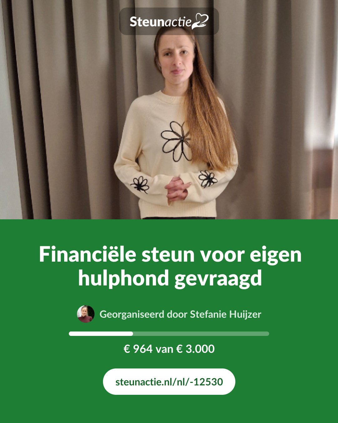 Voorbeeld van de afbeelding
