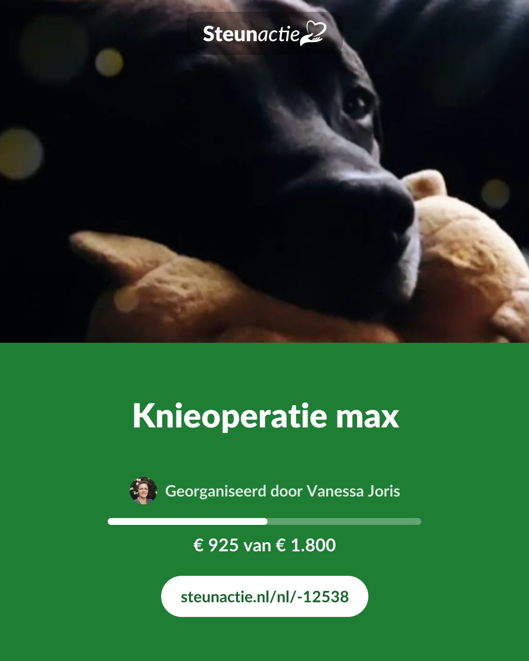 Voorbeeld van de afbeelding