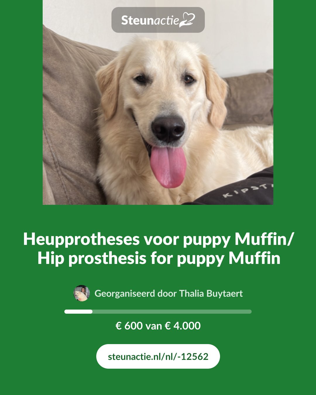 Voorbeeld van de afbeelding
