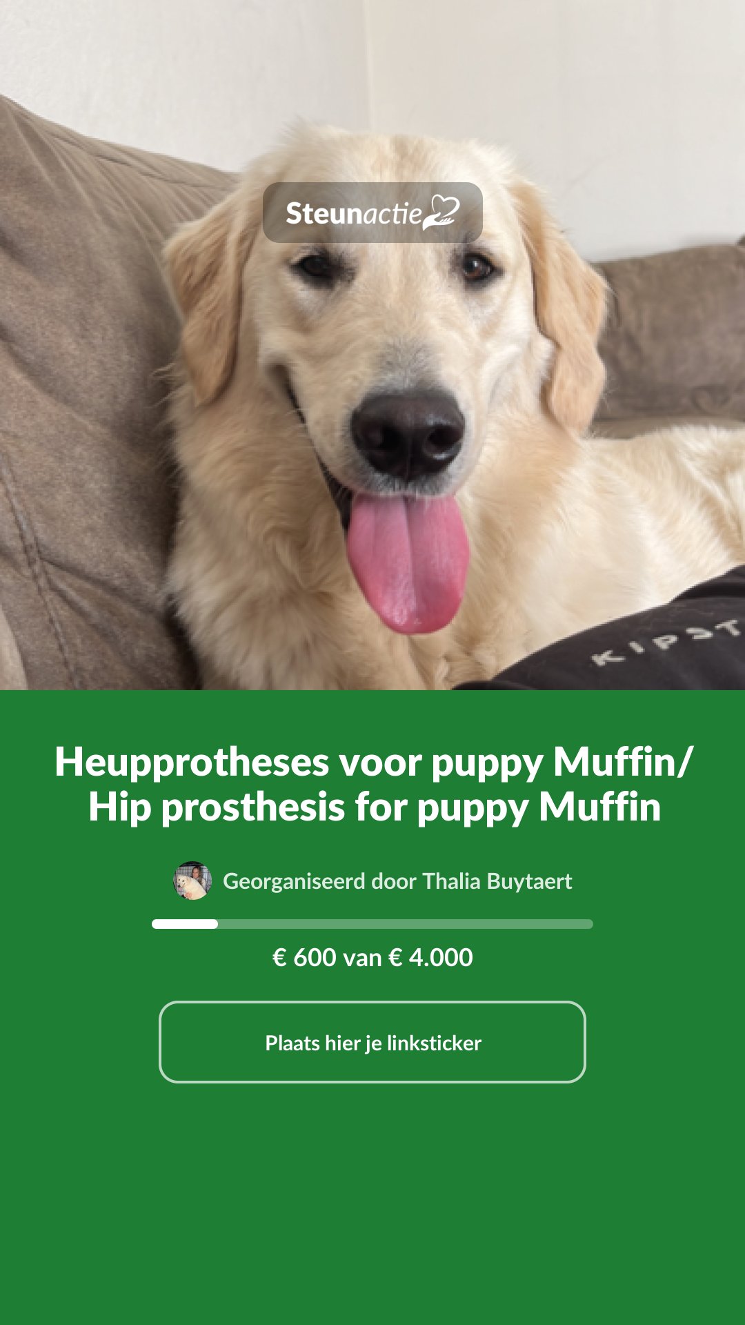 Voorbeeld van de afbeelding