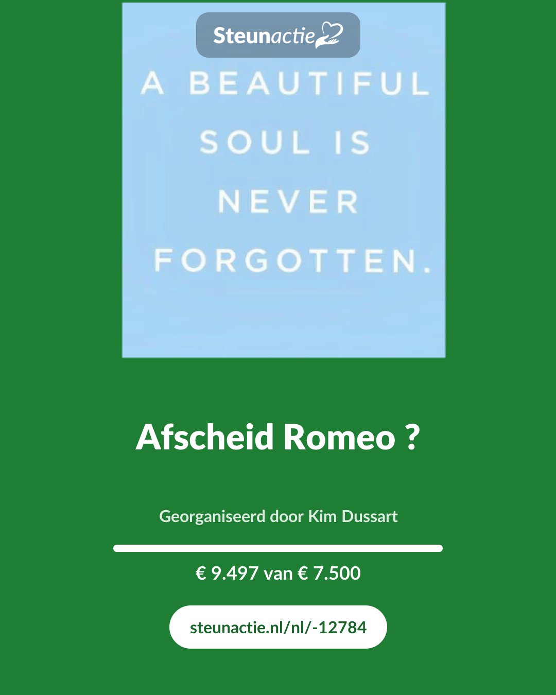 Voorbeeld van de afbeelding