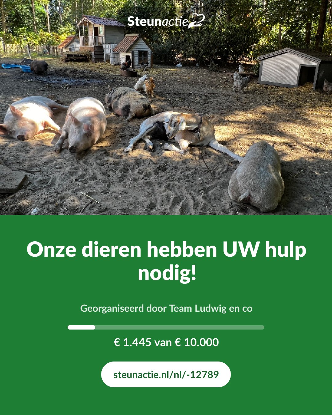 Voorbeeld van de afbeelding