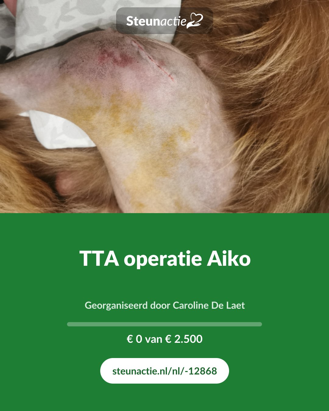 Voorbeeld van de afbeelding