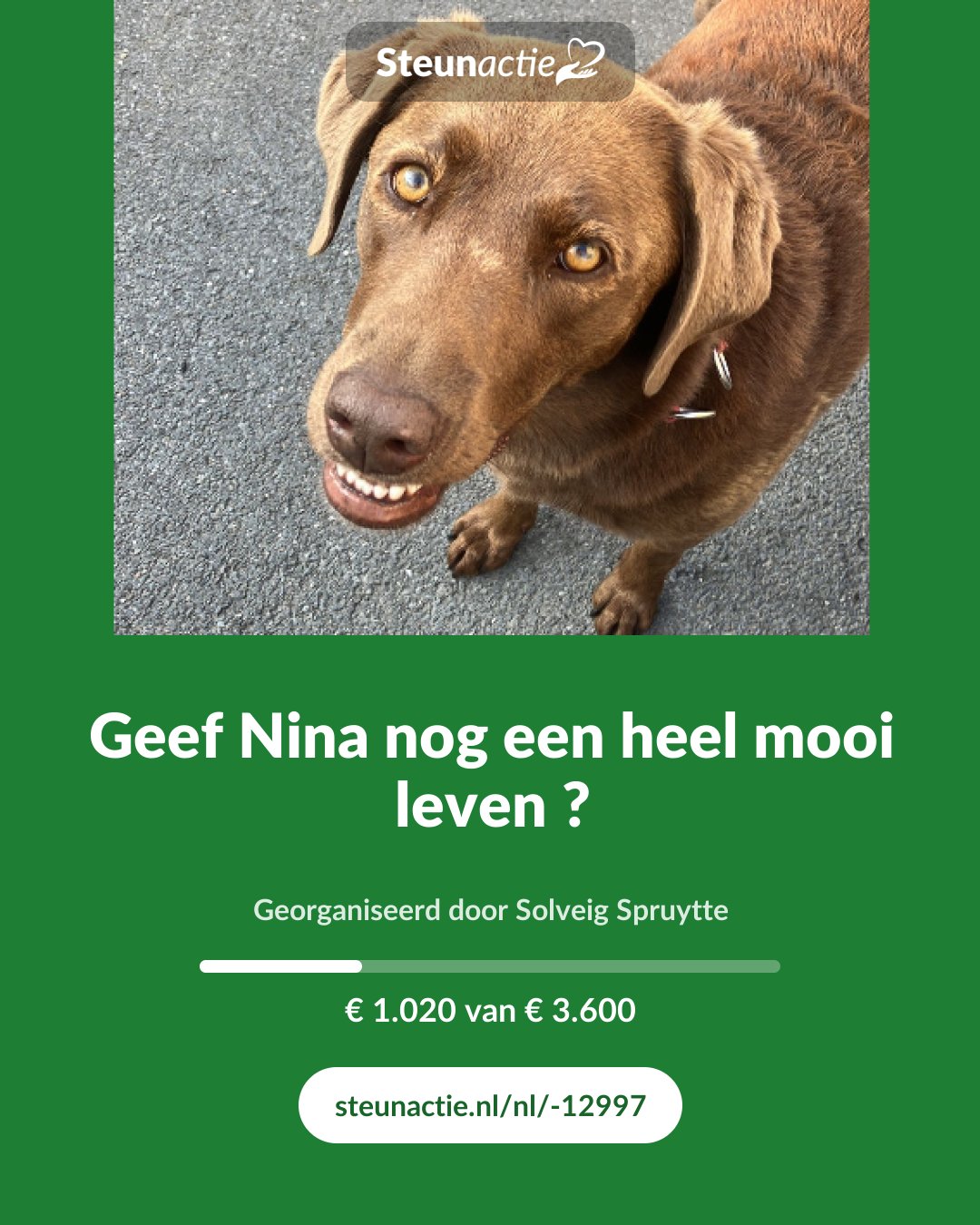 Voorbeeld van de afbeelding
