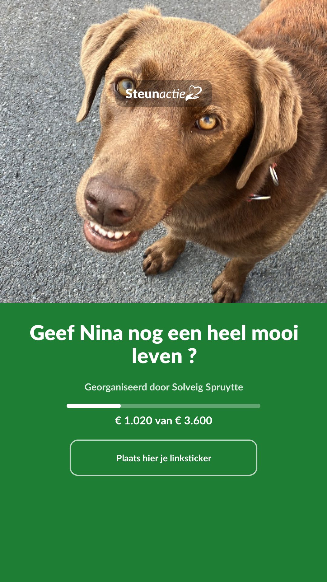 Voorbeeld van de afbeelding