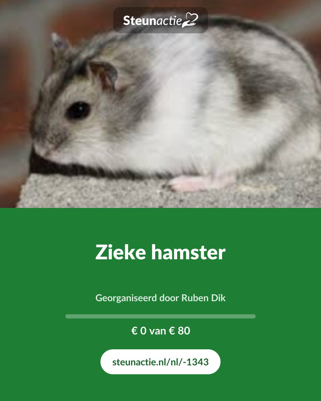 Voorbeeld van de afbeelding