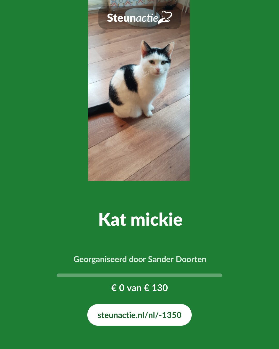 Voorbeeld van de afbeelding